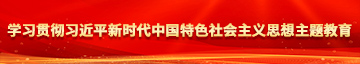 性感美女操BB学习贯彻习近平新时代中国特色社会主义思想主题教育